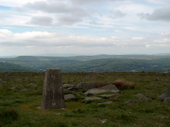 Top of Leach